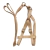 Conjunto de pretal + correa perros 1,5cm - pets