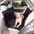 Funda Impermeable Protector Cubre Asiento de Auto para Perros Gatos - tienda online