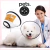 Collar Isabelino Perros Talle 1