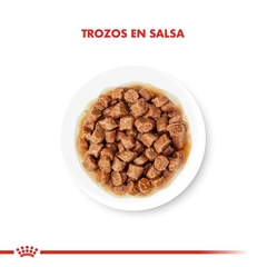 Royal Canin Alimento Húmedo para Gato Kitten en internet
