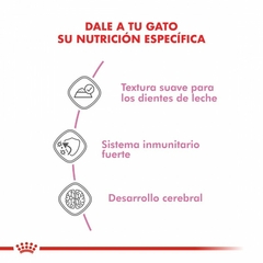 Royal Canin Alimento Húmedo para Gato Kitten - pets