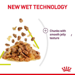 Royal Canin Salud Felina Nutrición Sensorial Olor Alimento para Gatos Adultos - comprar online