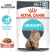 ROYAL CANIN URINARY CARE Comida húmeda en salsa - comprar online