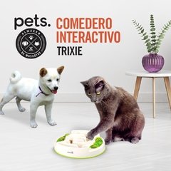 Juguetes Interactivos
