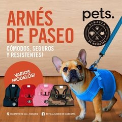 Arnes Sport Refractario
