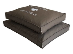 CAMA "BE THE PERSON" CHOCOLATE en internet