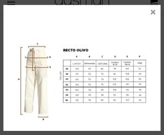 Recto Olivo - comprar online