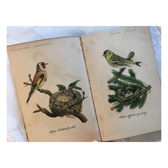 Libro vintage Alemán pájaros. - tienda online
