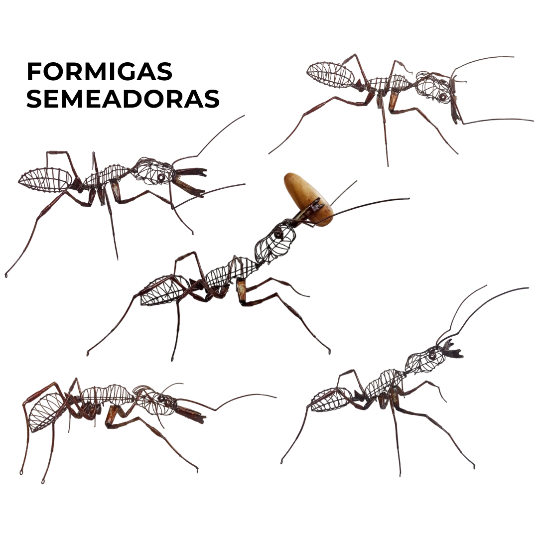 Formigas semeadoras odontomachus chelifer arte com formiga em metal decoração de formiga decoração de jardim arte para jardim