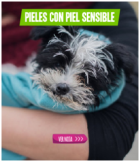 https://casperpetstore.blogspot.com/2021/04/pielsensibleenperros.html