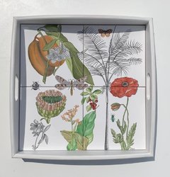 Bandeja Pradera