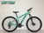 Imagen de BICICLETA FIRE BIRD RODADO 29 21V SHIMANO FRENO A DISCO SUSP CON BLOQUEO
