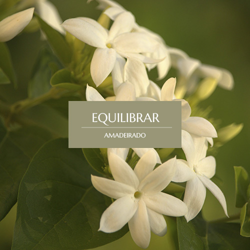 EQUILIBRAR