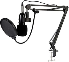 Microfono Condensador Condenser Profesional - comprar online