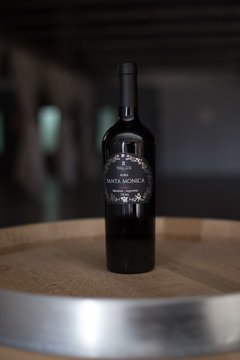 Santa Mónica Malbec Roble x6 - Quinta Región Wines