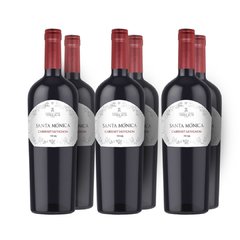 Santa Mónica Cabernet Sauvignon x6