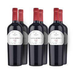 Santa Mónica Malbec x6