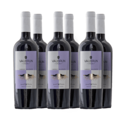 Vaubrun Cabernet Sauvignon x6