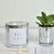 Vela Silver White Wood en internet