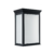 Medio Farol Hierro con Vidrio Satinado