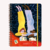 CUADERNO A4 FOUJITA ANI RAY (MN2214006)
