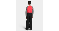 Pantalón The North Face Freedom Insulated- Kids Niños en internet