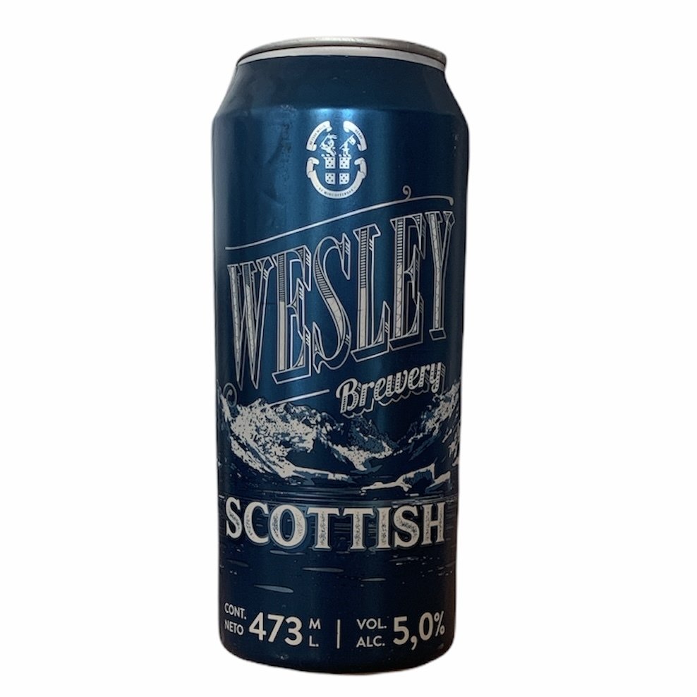 Cerveza Scottish x 473 ml Wesley - Wild Goose