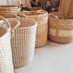 Canastos seagrass