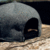 Gorra TIBP Ubicacion - comprar online