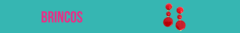 Banner da categoria Brincos