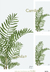 Lamina decoupage A3 - d070 - triptico plantas 3