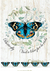 Lamina decoupage A4 - d211 - vuela lbre por la vida