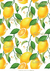 Lamina sublimacion - solcito A4 - s369 fondo limon