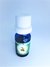 Esencia Manzana Canela para Sahumerio/Humidificador 10ml