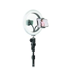 ARO LED 10' + TRIPODE 2 MTS. SOUL en internet