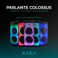 PARLANTE TORRE 12” X2 – MOD212 – COLOSSUS – XAEA