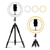 COMBO ARO LED 12 + TRIPODE
