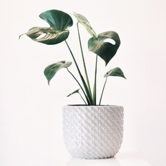 MACETA VENECIA - comprar online