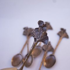 CUCHARA TE GINGKO