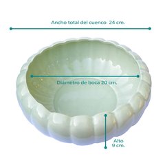 CUENCO LOTO AQUA en internet