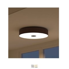 PLAFON + COLGANTE CIRCULAR - tienda online