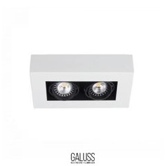Plafon cardanico - 2 Luces