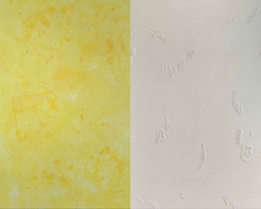 Reversible 1 ( 60 x 90 )
