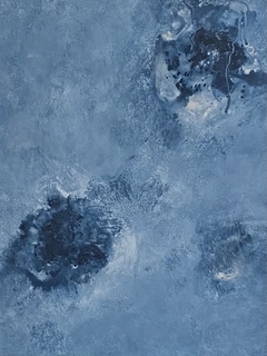 STM2 (50 x 60) - comprar online