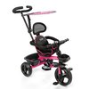 Triciclo Little Tiger Fit