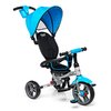 Triciclo LITTLE TIGER Deluxe