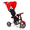 Triciclo LITTLE TIGER Deluxe - comprar online