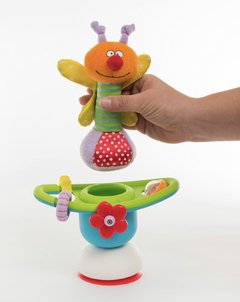 Taf Toys en internet