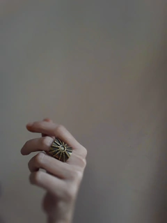 Anillo Otoño III ▽ Listo para retirar