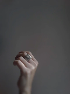 Anillo Armadura II ▽ Listo para retirar en internet
